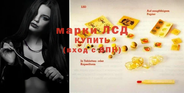 хмурый Алзамай