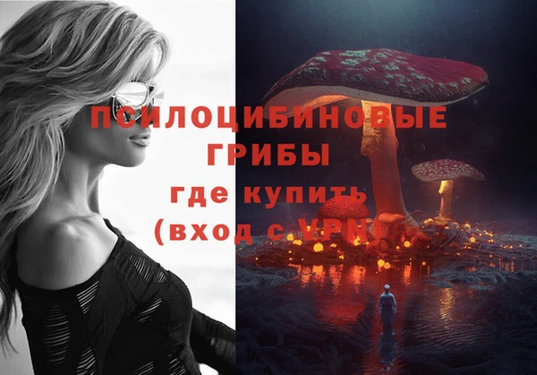 ешки Алексеевка