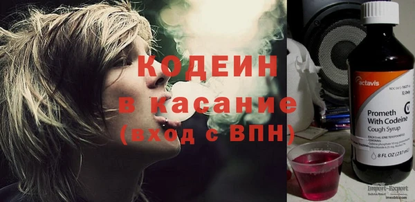 хмурый Алзамай