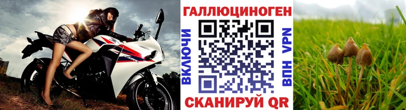 Галлюциногенные грибы GOLDEN TEACHER  закладка  Среднеколымск 