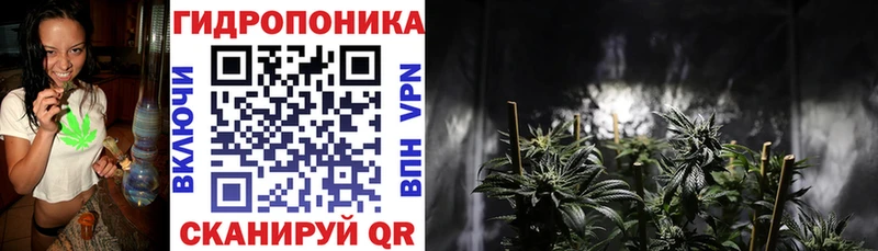 Бошки марихуана OG Kush Среднеколымск